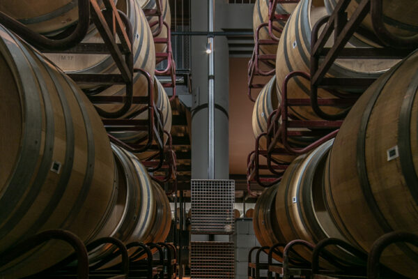 Fotografía arquitectónica sala de crianza en bodega