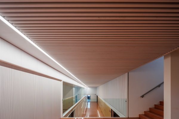 Madera. Fotografías Instituto Sagasta